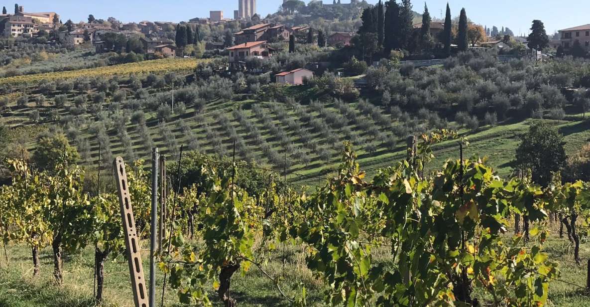 Lucca Private Day Tour to Chianti and San Gimignano - Directions