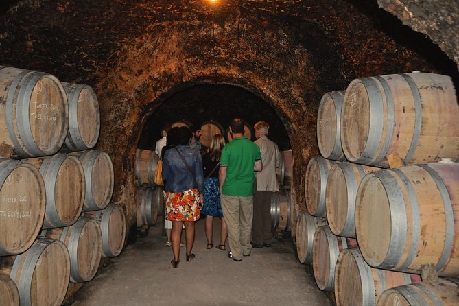 Madrid Countryside Wineries Guided Tour With Wine Tasting - Recap