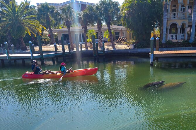 Mangroves, Manatees, and a Hidden Beach: Kayak Tour - Equipment and Safety