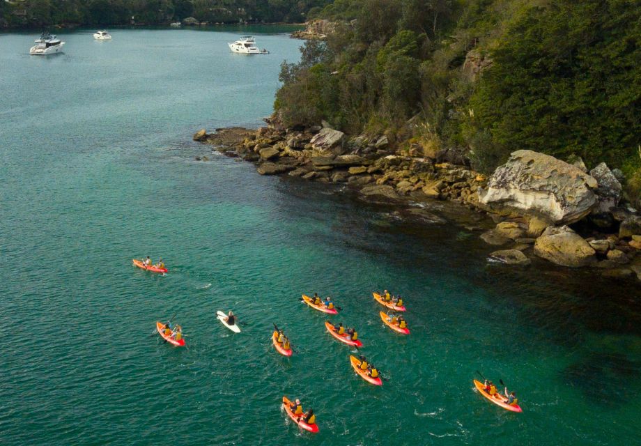 Manly: Mini Kayak Tour on Sydneys North Harbour - Recap