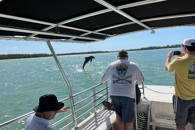 Marco Island Dolphin Sightseeing Tour - Directions