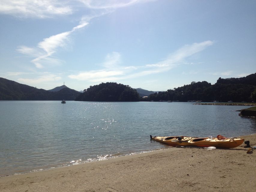Marlborough Sounds Guided Kayak and Freedom Walk Tour - What to Bring