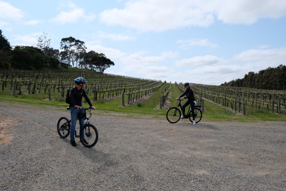 McLaren Vale: E-Bike Rental to Explore the Vineyards - Day Itinerary and Group Size