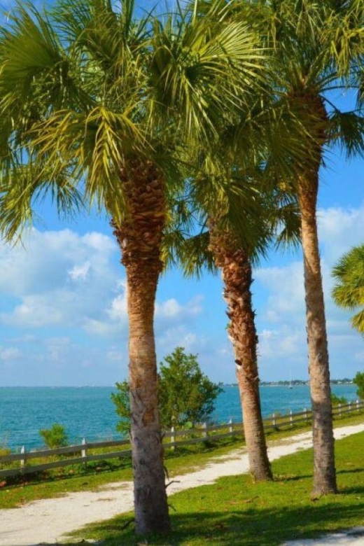 Miami: Visit to the Lighthouse - Key Biscayne - Brickell - Inclusions