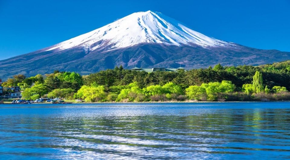 Mount Fuji Panoramic View & Shopping Day Tour - Lake Kawaguchi Visit