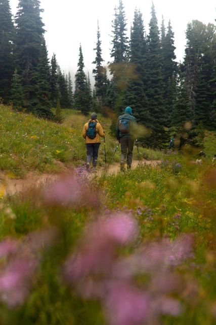 Mount Rainier NP: Full Day Private Tour & Hike From Seattle - Inclusions