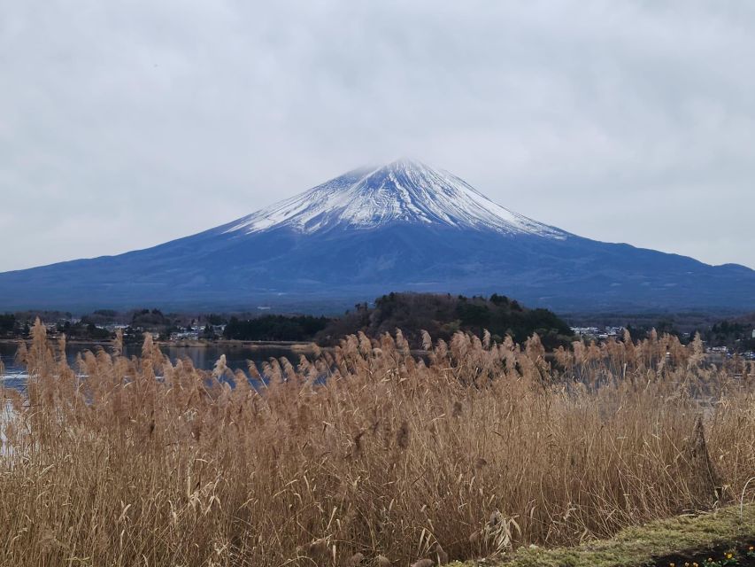 Mt Fuji and Hakone Private Tour With English Speaking Driver - Pricing and Booking