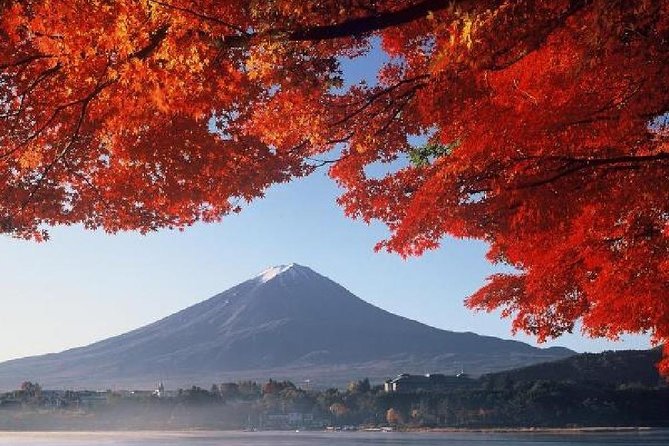 Mt Fuji, Hakone, Lake Ashi Cruise 1 Day Bus Trip From Tokyo - Cancellation Policy