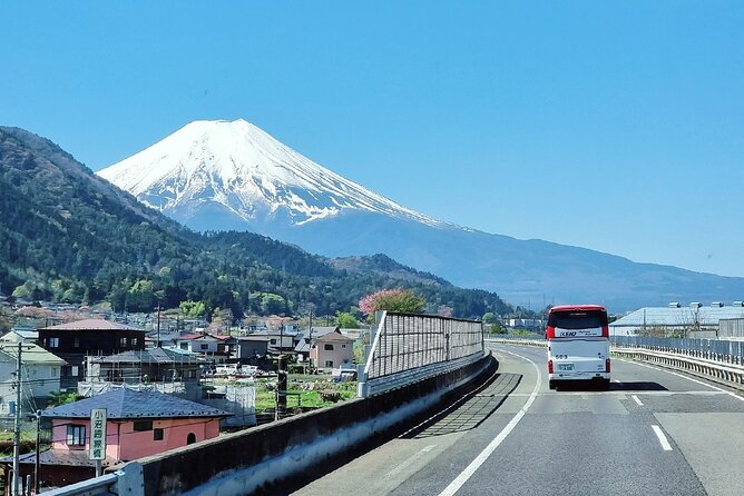 Mt. Fuji View and 2hours+ Free Time at Gotemba Premium Outlets - Reviews and Ratings