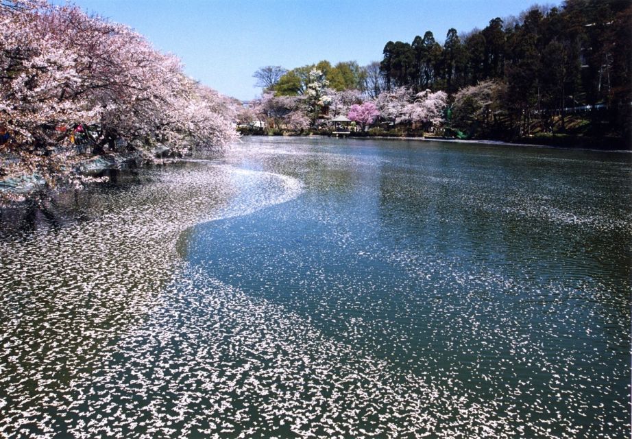 Nagano: 1-Day Snow Monkey & Cherry Blossom Tour in Spring - Booking and Confirmation