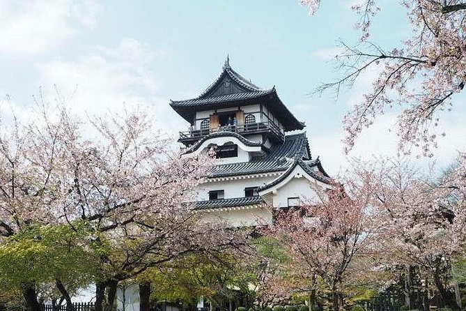 Nagoya / Aichi Half-Day Private Custom Tour With National Licensed Guide - Cancellation Policy