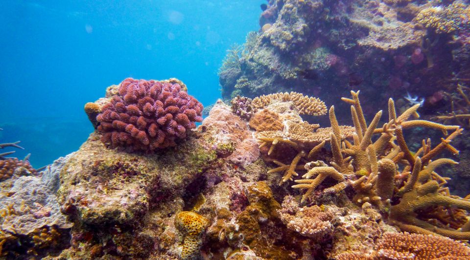Naha, Okinawa: Kerama Islands Full-Day Intro-Diving Trip - Boat Tour and Facilities