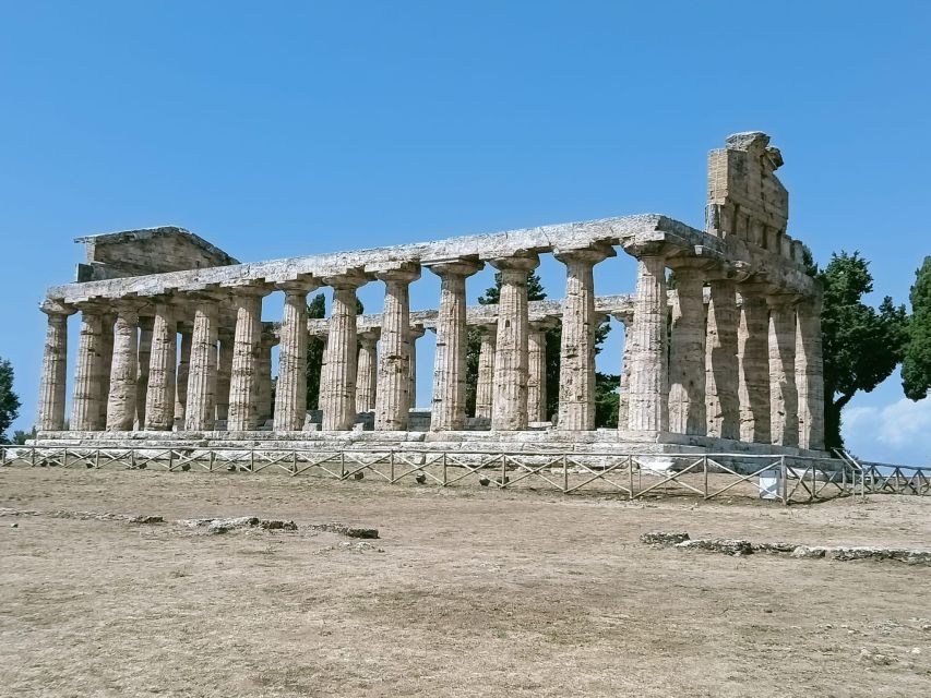 Naples: Drive to Paestum and Visit the Temples - Inclusions and Exclusions