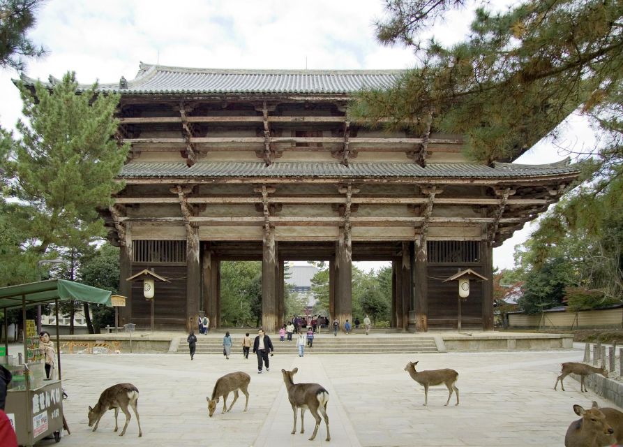 Nara: Audio Guide Delve Into Todai-Ji & Kasuga Taisha - Transitioning to Nara Park