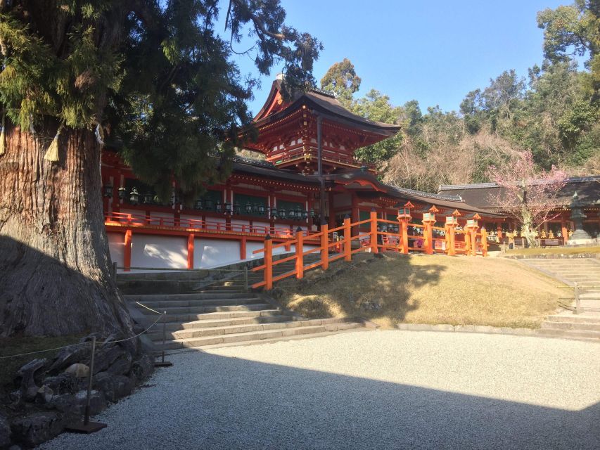 Nara: Half-Day Private Guided Tour - Kasuga-taisha Shrine