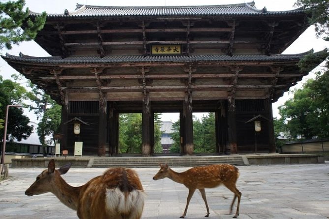 Nara Private Tour by Public Transportation From Kyoto - Kasuga Taisha