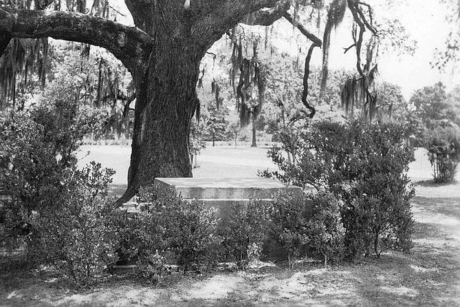 New Orleans Dead of Night Ghosts and Cemetery Bus Tour - Price