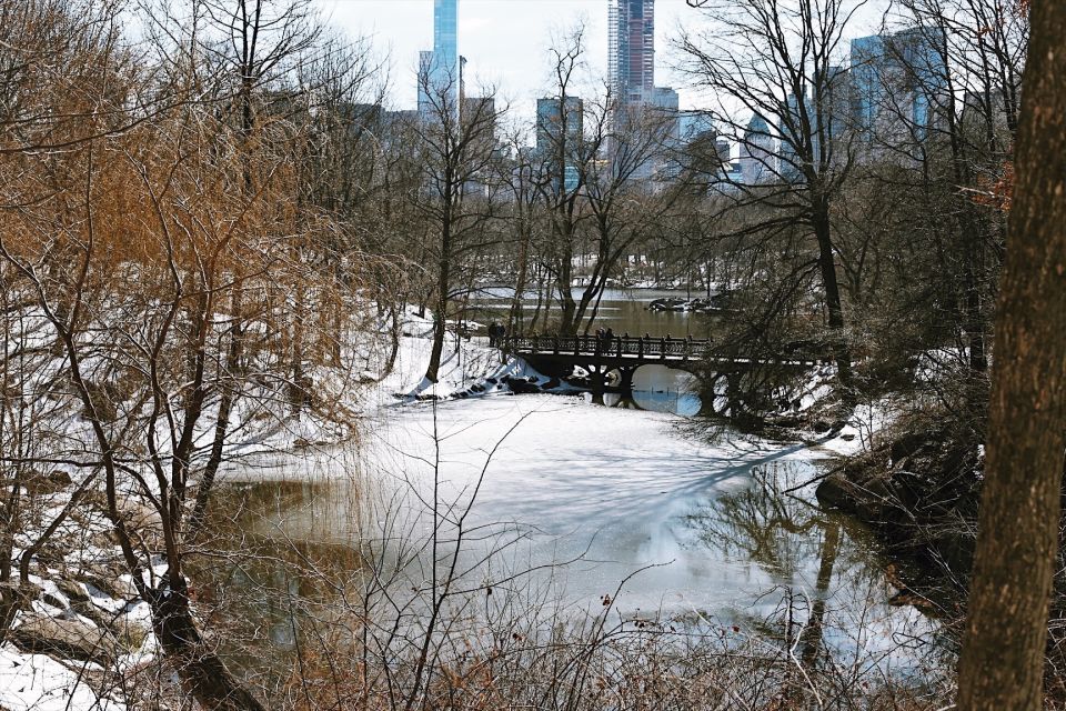 New York: Central Park - Guided Walking Tour - Tour Logistics and Requirements