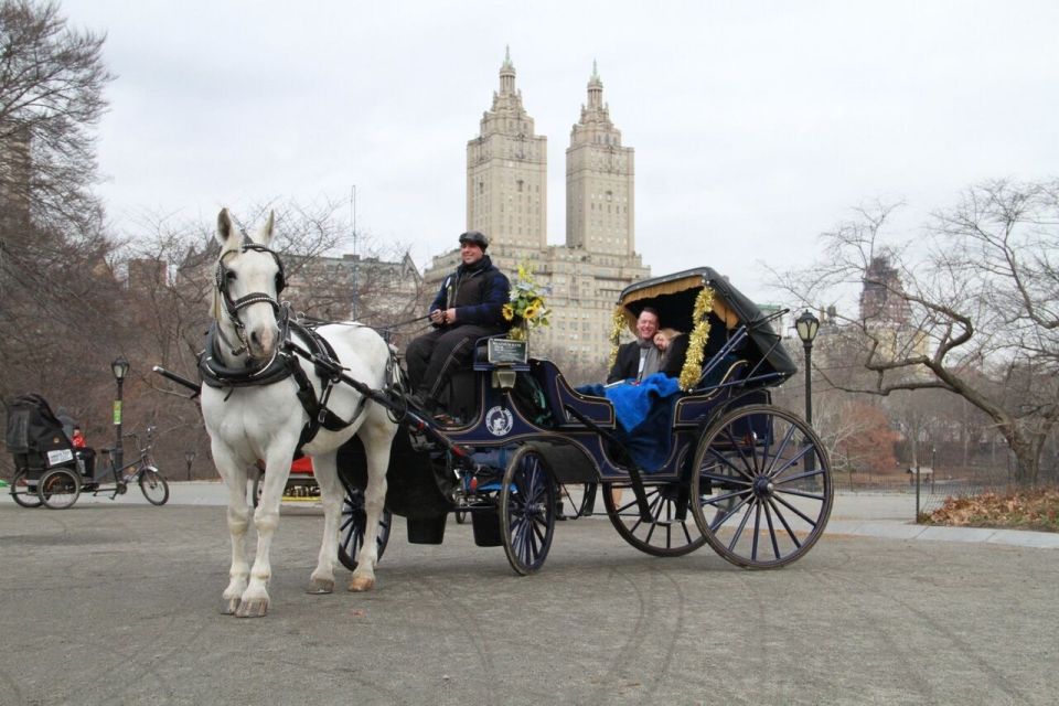 NYC Horse Carriage Ride in Central Park (65 Min) - Feeding the Horses