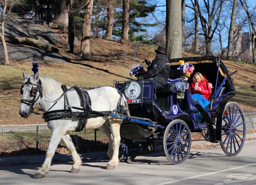 NYC Horse Carriage Ride in Central Park (65 Min) - Meeting Point Instructions