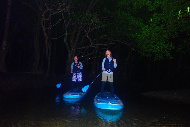 Okinawa Iriomote Night SUP/Canoe Tour in Iriomote Island - Group Size and Capacity