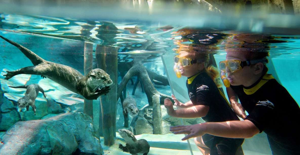 Orlando: Discovery Cove Admission Ticket & Additional Parks - Operating Hours and Check-in