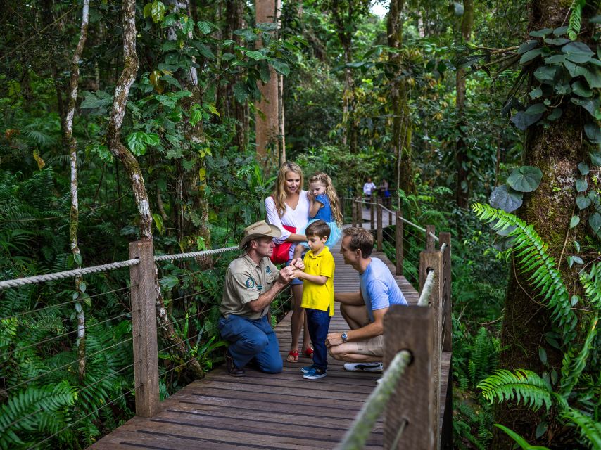 Port Douglas: World Heritage Forest by Skyrail & Scenic Rail - Important Information