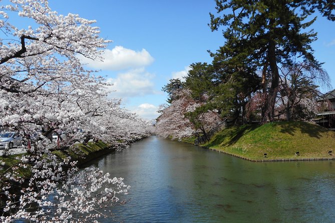 Private Cherry Blossom Tour in Hirosaki With a Local Guide - Tour Details and Accessibility