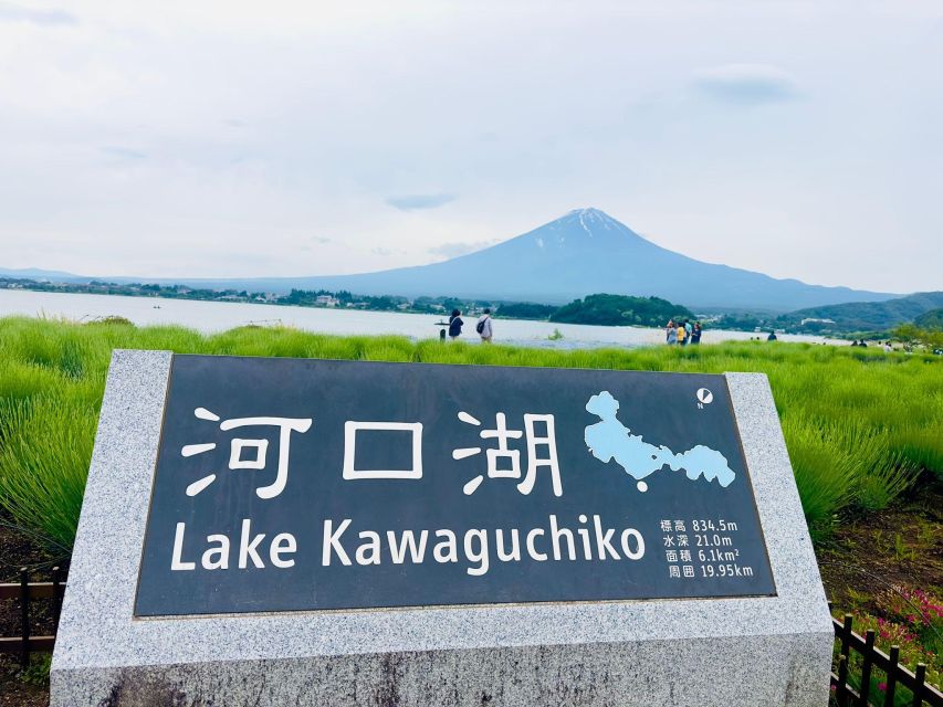 Private Day Trip to Mt. Fuji & Hakone Cherry Blossoms - Discovering Lake Kawaguchiko