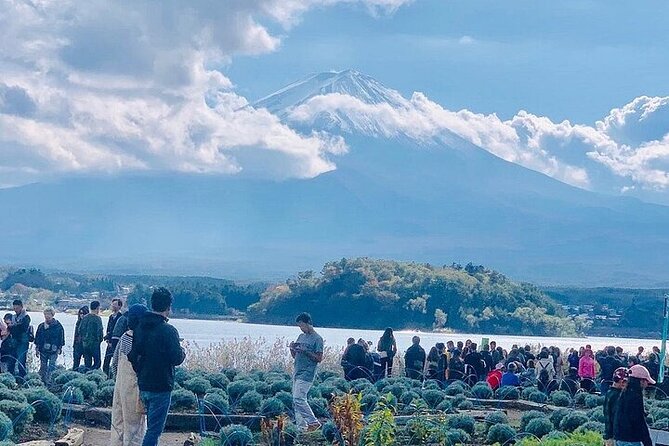 Private Guided Sightseeing Full Day Tour In Mt. Fuji And Hakone - Pickup and Drop-off