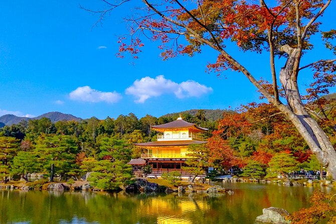 Private Kyoto Day Trip With English Speaking Driver - Cancellation Policy