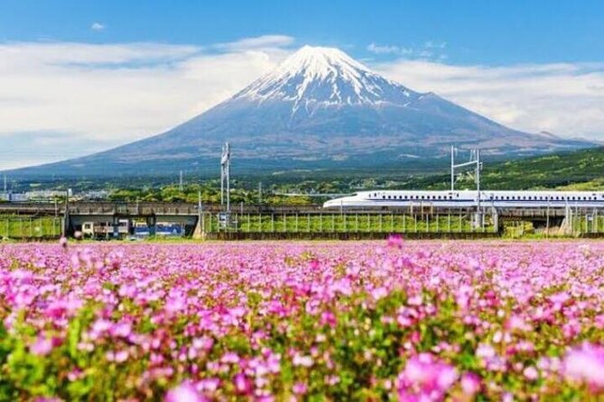 Private Mount Fuji and Hakone Sightseeing Day Trip With Guide - Cancellation Policy