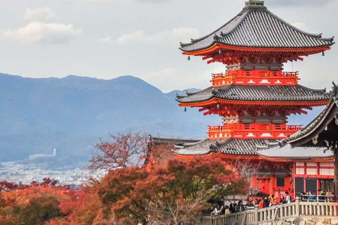 Private Tour - First Time Kyoto! Visit the Must-See Destinations! - Private Tour Experience