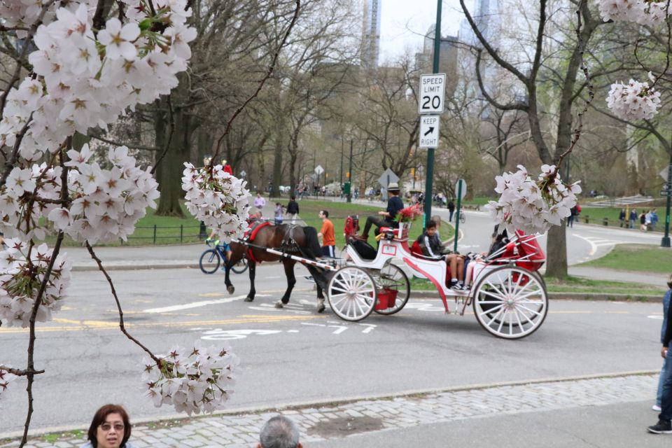 Romantic/Proposal Central Park Carriage Tour Up to 4 Adults - Carriage Ride Duration