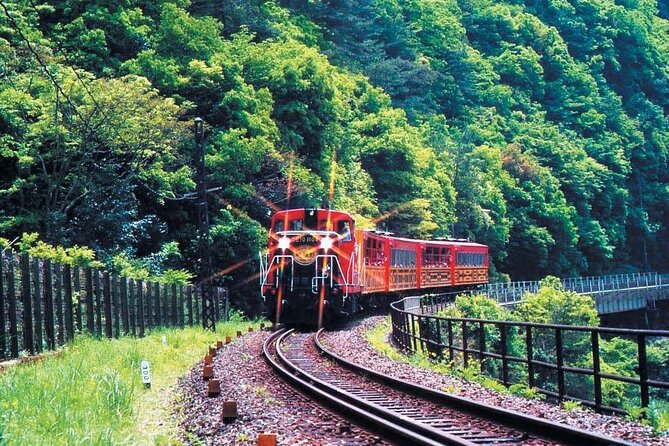 Sagano Romantic Train & Arashiyama, Kiyomizudera, Fushimi Inari Taisha Day Tour - Additional Information