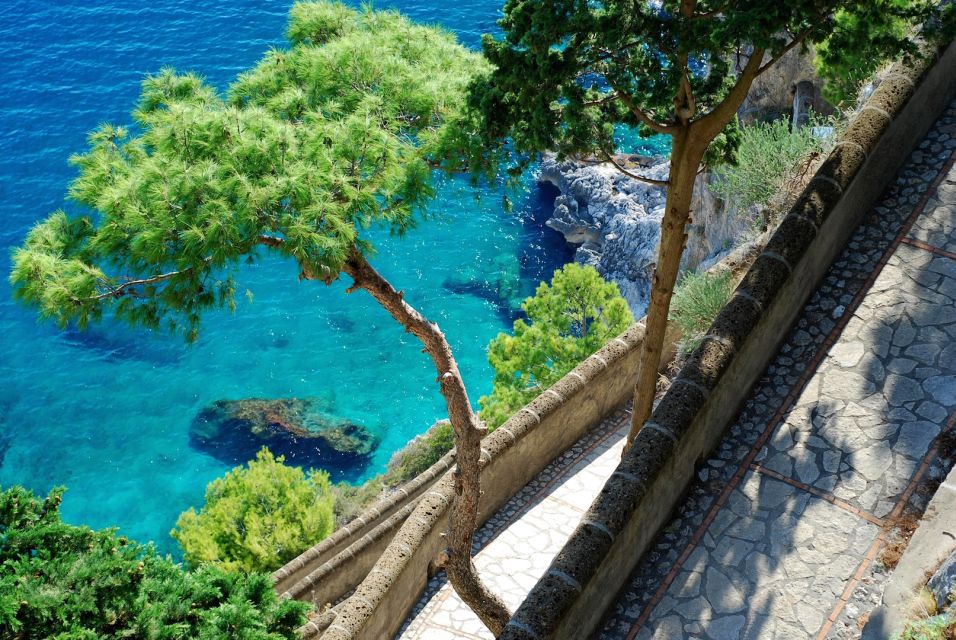 Salerno to Capri Private Boat Excursion - Excursion Details