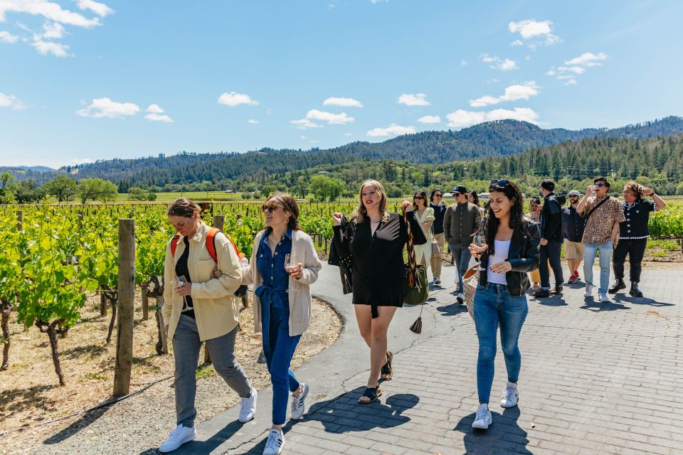 San Francisco: Luxury Small-Group Wine Tour of Napa Valley - Winery Tastings