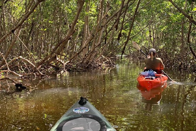 Sarasota Guided Mangrove Tunnel Kayak Tour - Frequently Asked Questions