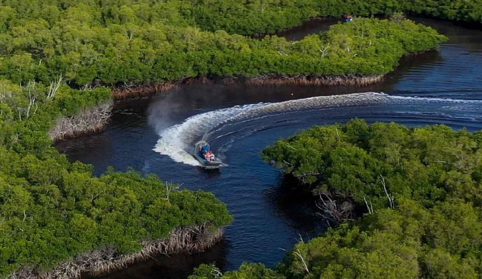 Semi-Private Everglades Tour From Miami or Fort Lauderdale - Experience Highlights