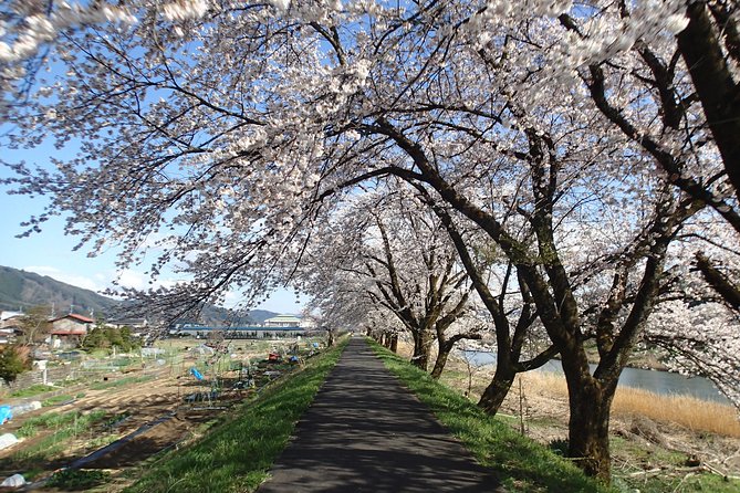 Short Morning Cycling Tour in Hida - Cancellation Policy