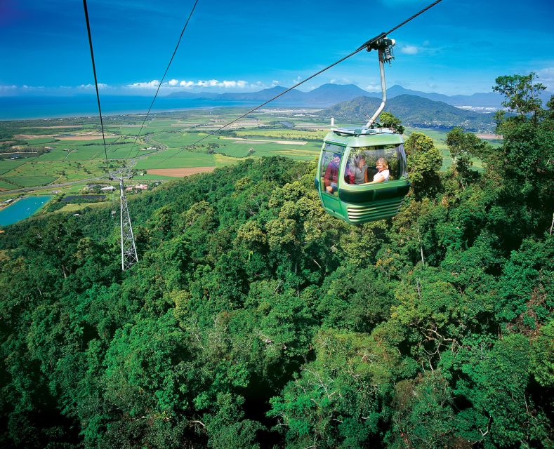 Skyrail Rainforest Cableway Round-Trip Experience - Meeting Information