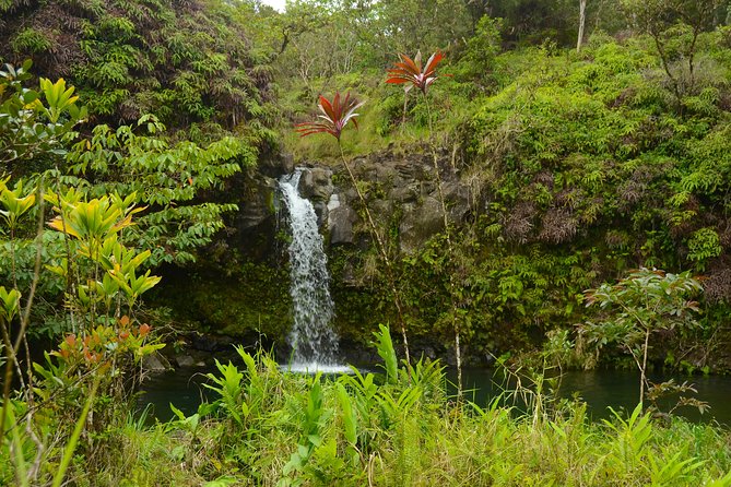 Small-Group Road to Hana Luxury Tour - Reviews