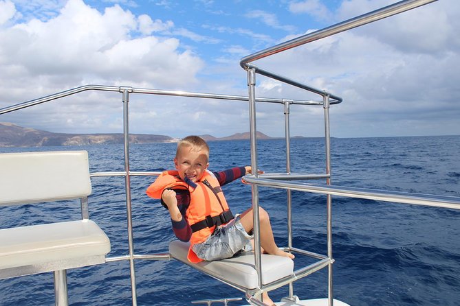 Small Group Whale Watching Catamaran Cruise With Transfer, Food & Snorkeling - Tour Description
