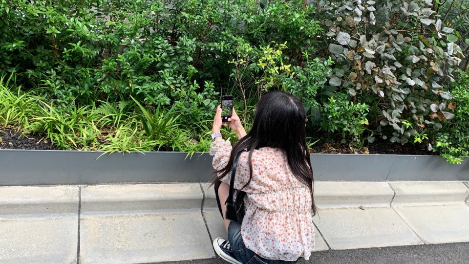 Smartphone Photography Experience in Tokyo - Inclusions and Exclusions