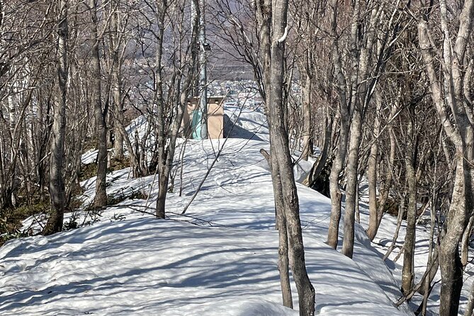 Snowshoeing Adventures in a Winter Wonderland - Sapporo - Onsen Relaxation After the Hike