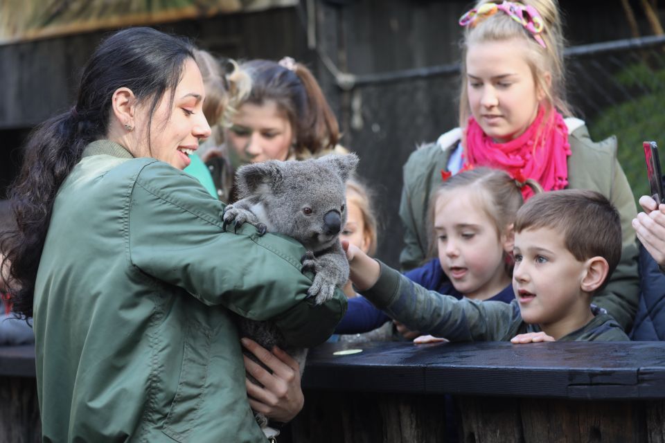 Somersby: Australian Reptile Park Day Pass - 9am to 5pm - Wildlife Interactions and Shows