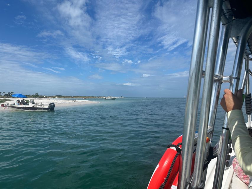 St Petersburg, FL: 3 Hour Islands Hopping Eco Tour - Shelling Discoveries