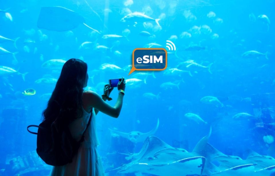 Sydney & Australia: Roaming Internet With Esim Mobile Data - Device Compatibility and Usage