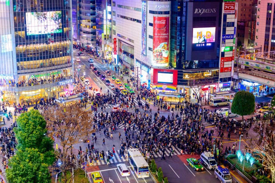 Tokyo: 1 Day Private Customisable City Tour by Car and Van - Wheelchair Accessibility