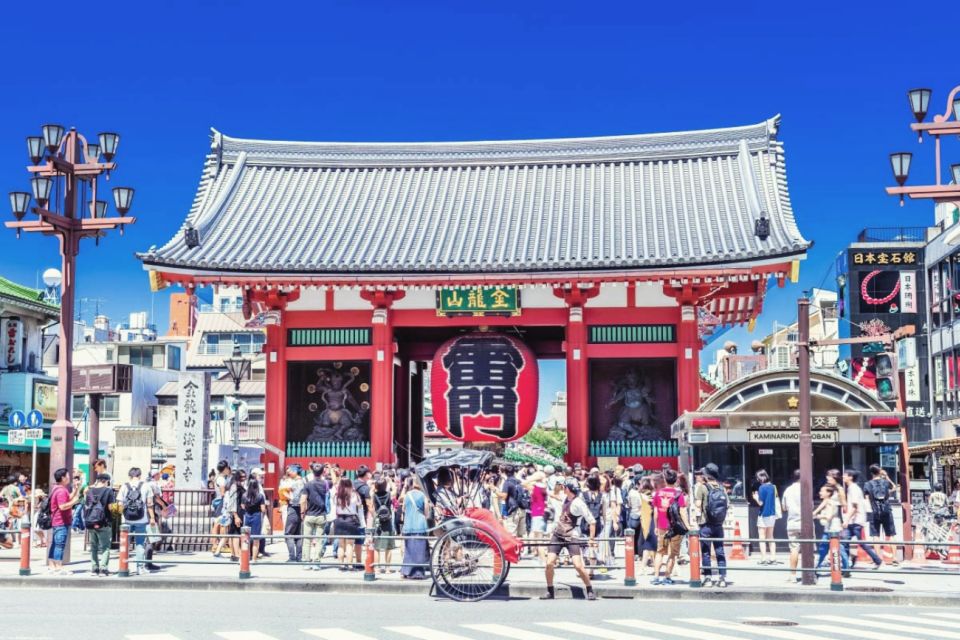 Tokyo: 10-Hour Customizable Private Tour With Hotel Transfer - Professional Driver and Optional Tour Guide